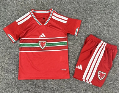 2026 Welsh home kids Soccer Jersey
